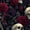 Color 4, variant on Peel and Stick Wallpaper Skull Rose Floral Dark 17.7in x 118in Contact Paper Removable Self Adhesive Wall Mural Wall Decor for Bedroom Kitchen Cabinets