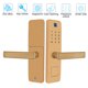 thumbnail image 5 of Cerradura de puerta biométrica kangjianwuwushu 3011 Huella Digital Contraseña Tarjeta IC Seguridad Doméstica Antirrobo, 5 of 10