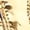 Gold, variant on Wdhugt Unisex Breathable High Top Sneakers Mesh Upper Lace Up Casual Outdoor Walking Shoes Us Size 5 For Foot Length 9.06 Inches