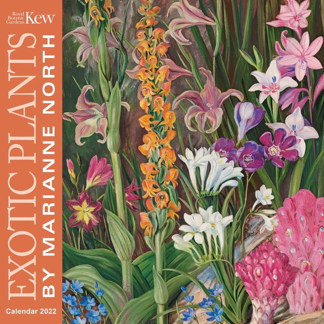 Kew Gardens Exotic Plants by Marianne North Wall Calendar 2022 (Art