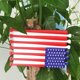 thumbnail image 4 of Letrero colgante Decoración Bandera americana Decoración Letrero de puerta Letrero colgante de licencia de decoración para de Sunnimix bandera de arte de pared, 4 of 8