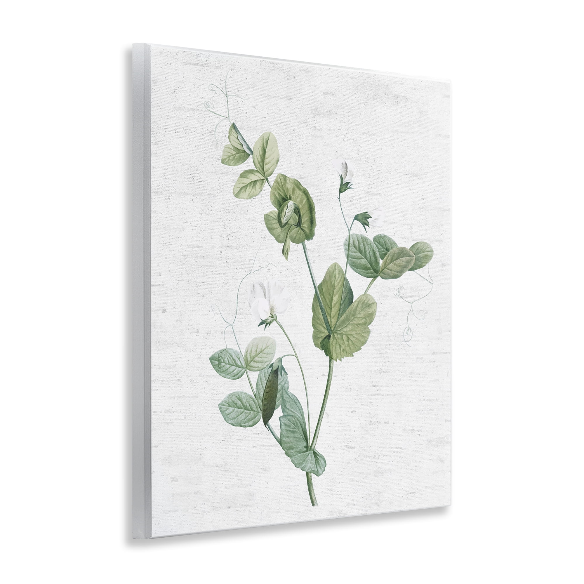 Stupell Industries Soft Country Botanical Botanical & Floral Painting Unframed Art Print Wall Art, 11 x 14
