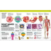 DK Knowledge Encyclopedias Knowledge Encyclopedia Human Body!: Human Anatomy as Youve Never Seen It Before, (Hardcover)