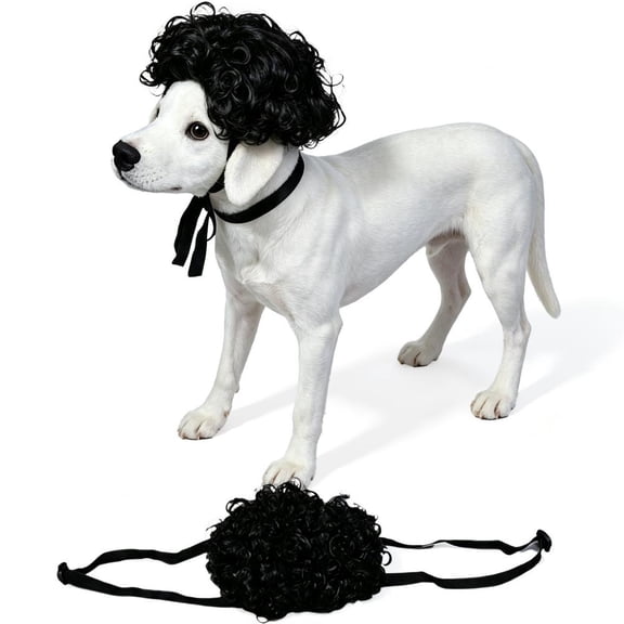 Pet Wig, Curly Pet Hairpiece with Adjustable Strap, Halloween Costume Contests and Party Photoshoots, Black