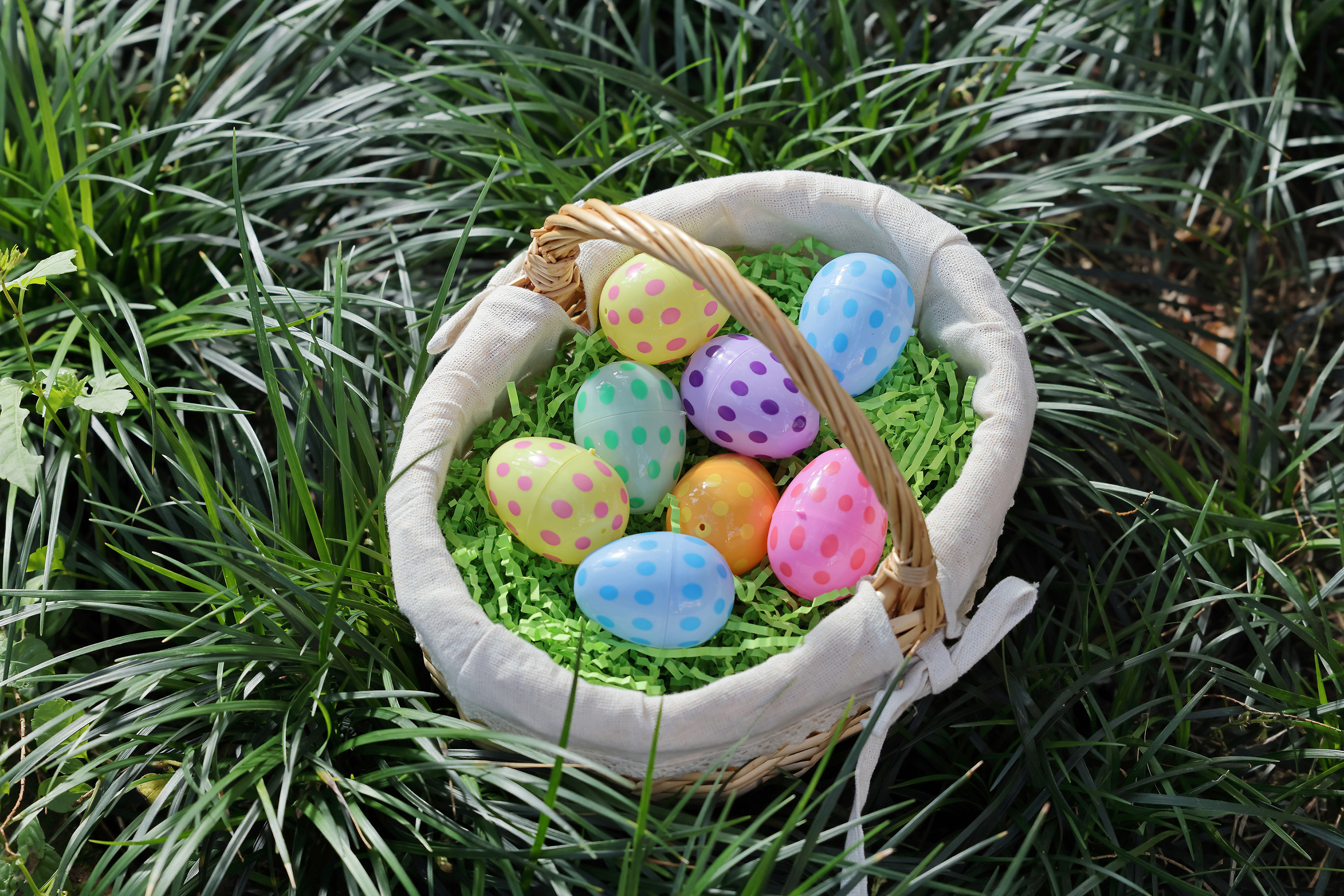 12CT 1.5`` DOT EGG