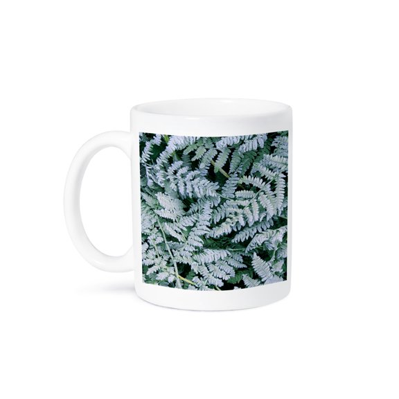 3dRose, USA, Washington, John A Finch Arboretum, Bracken fern with frost, 11oz Mug