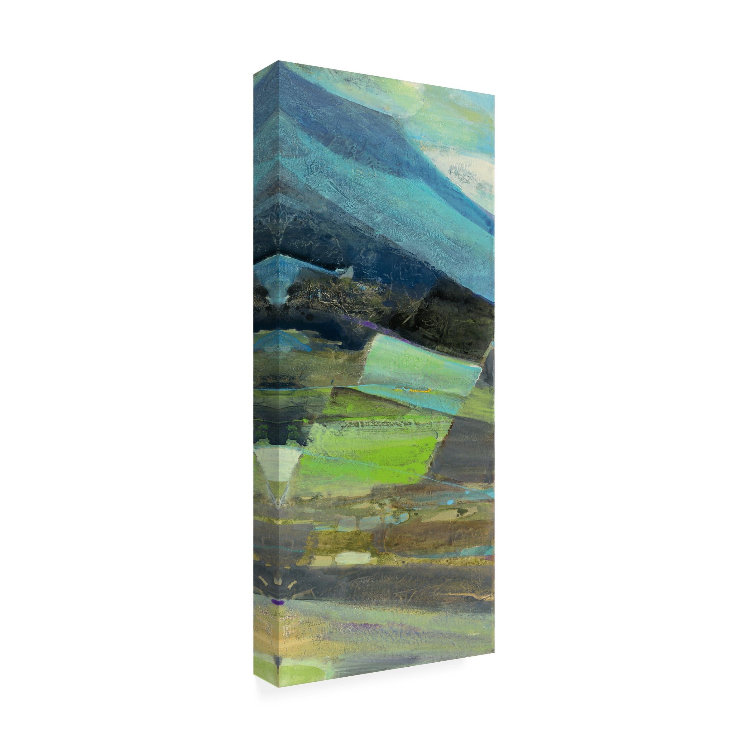 Trademark Fine Art 'View Of The Coast Panel Ii' Canvas Art by Albena Hristova