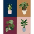 thumbnail image 3 of Louise, Gigi 12x14 Black Modern Framed Museum Art Print Titled - Four Plants, 3 of 5
