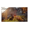 Horizon Zero Dawn Collector