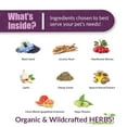 thumbnail image 4 of Amber NaturalZ HWF for Dogs | Supports a Healthy Heart & Natural Purification Processes | 4oz, 4 of 7