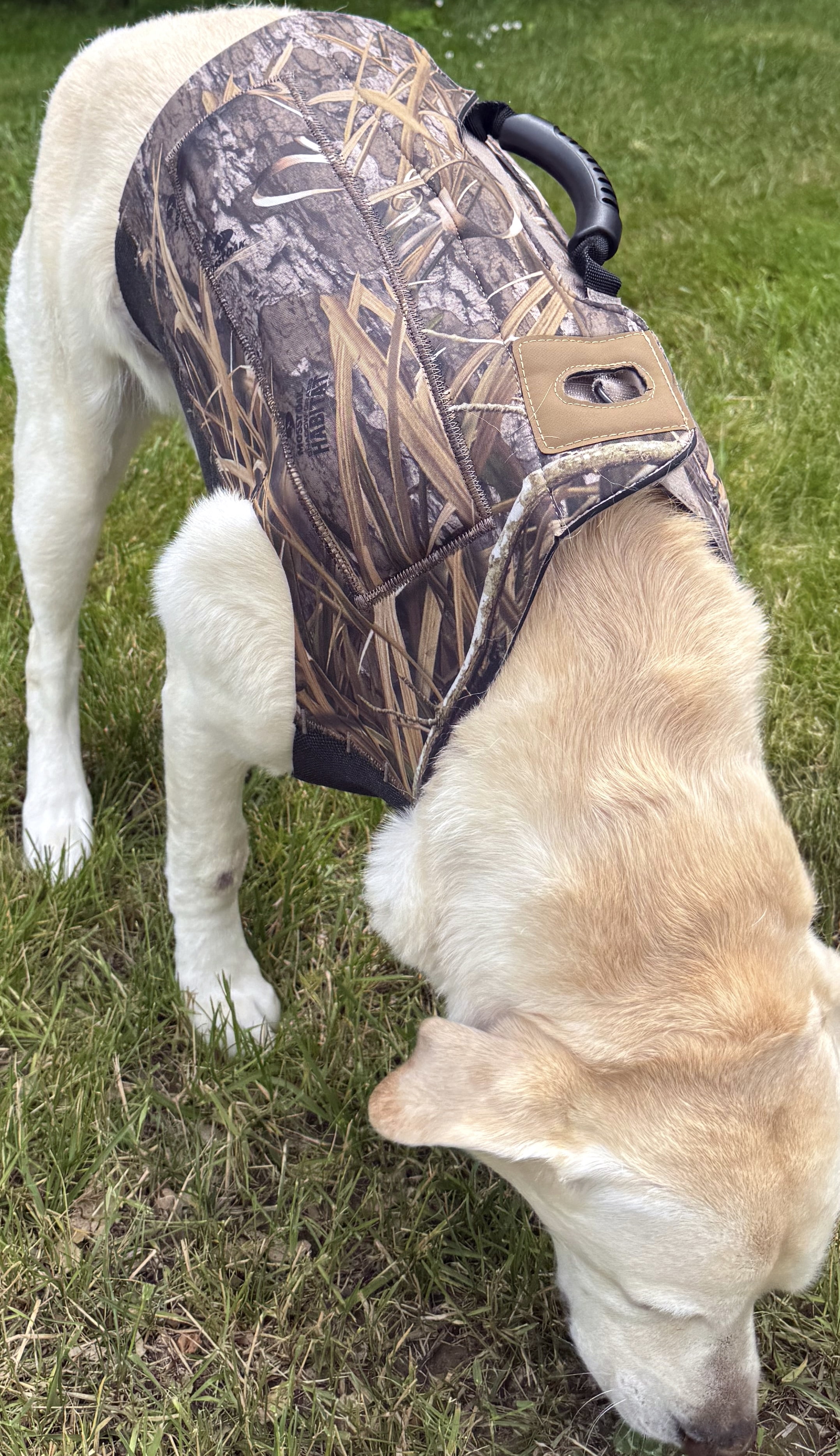 Mossy Oak Waterfowl Dog Vest