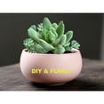 thumbnail image 5 of 11 Pcs Mixed Unpotted Faux Various Succulent Assortment,Realistic Mini Artificial Succulents Textured in Different Type Different Size-Echeveria Agave Floral Arrangement,DIY, 5 of 9