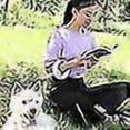 thumbnail image 4 of Nylon Pet Leash With Hand Brake Retractable Dog Leash With Led, 4 of 5