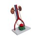 thumbnail image 5 of Modelo de demostración del urogenital Modelo genitourinario humano Muestra de accesorios de ayuda de enseñanza Modelo estructural renal para, 5 of 9