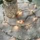 thumbnail image 1 of Guirnalda de luces navideñas JanHm 6,56 pies 20 LED ratán de frutas, 1 of 4