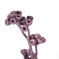 thumbnail image 2 of Vickerman Natural Botanicals 13" x 1-3" Red Gum Branch Brombeer Frosted, 14 stems per unit, 2 of 4