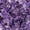 Purple, variant on Polished Gem Stones Rocks Crystals 1 Lb/450g Natural Tumbled Stones Amethyst Crystal Chips Bulk for Fish Tank Rocks Gravel, Vase Filler, Plants Decor