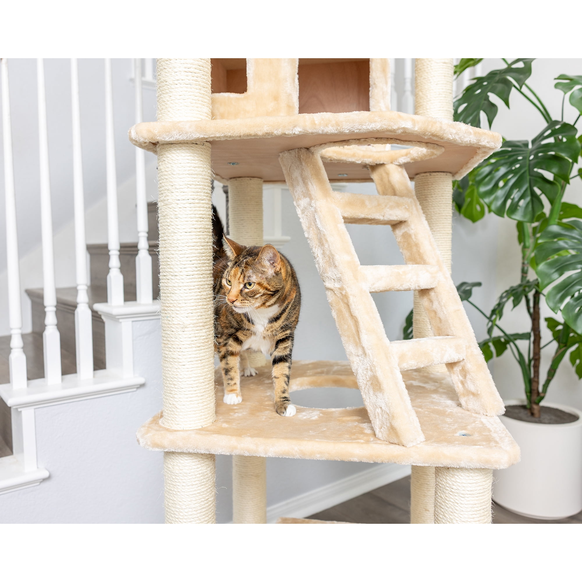 Armarkat Classic Real Wood Cat Tree Model A8001, 80 inch Beige