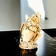 thumbnail image 4 of Zermat Perfume Caribe para Dama 75 ml Fragancia Floral Frutal con Notas de Rosa, 4 of 4