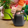thumbnail image 5 of Xihbxyly Las mejores ofertas de hoy Regadera de plantas Regadera de 1 gal en pico largo Regadera de diseños en flora Regadera de interior asa Regadera de plantas en jardín, 5 of 5