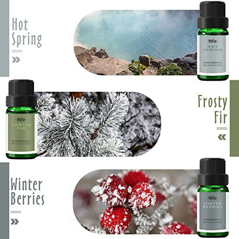 Winter Fragrance Oil Set, Premium Holiday Essential Oils for Diffuser and  Candle Making - Christmas Wreath, Gingerbread, Apple Cider, Cranberry