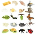 thumbnail image 4 of Modelo de Animal Yotijar Figuras de Ciclo de Crecimiento para Proyecto Escolar, 4 of 10