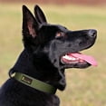 thumbnail image 7 of Plutus Pet Tactical Dog Collar, Reflective, Adjustable Heavy Duty Dog Collar, Soft Padded and Comfortable, for Small Medium and Large Dogs (Ranger Green, M), 7 of 7