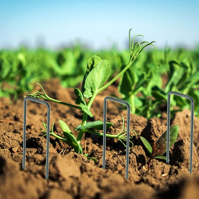 PAMINGONO 10Ud Heavy Duty Tent Pegs Metálicos Para Jardín Y Camping Con En U