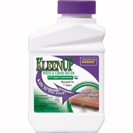 Bonide KleenUP Weed & Grass Killer