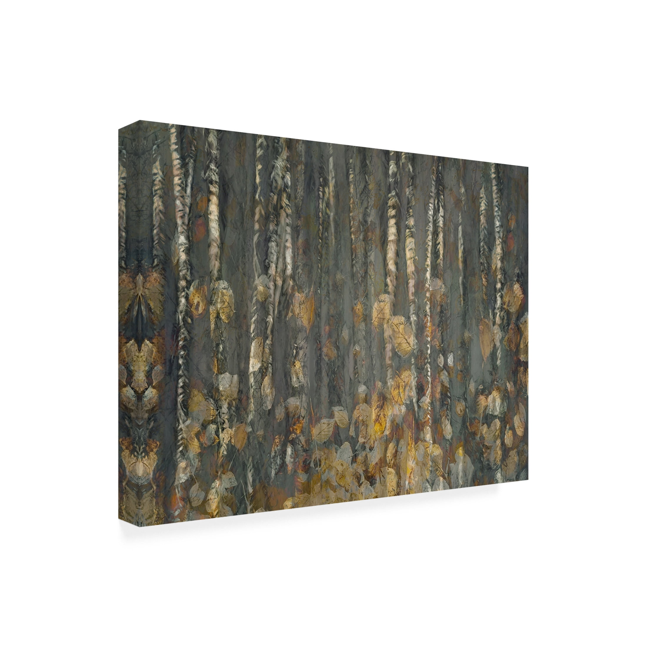 Trademark Fine Art Nel Talen Autumn Canvas Wall Art