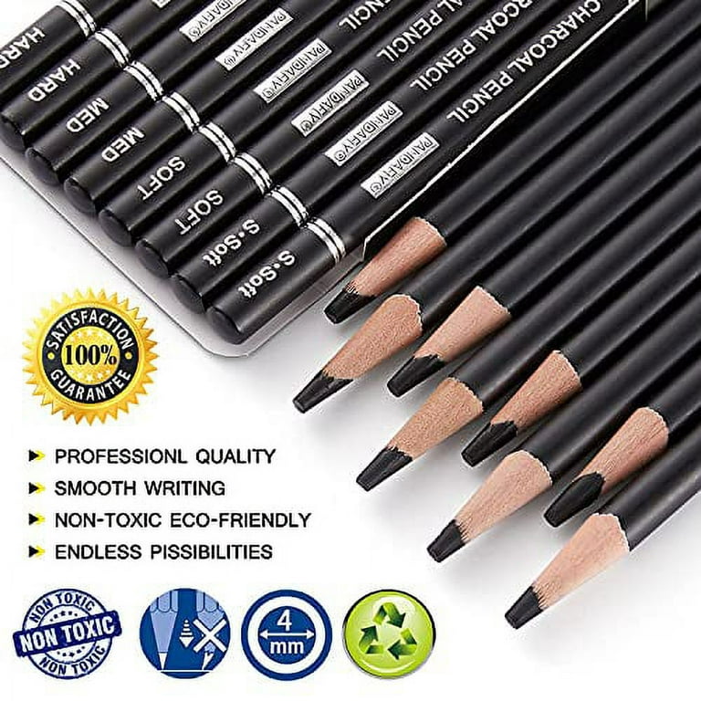  PANDAFLY Drawing Sketching Pencil Set, 22 Piece Pro Art Pencil  Kit - Graphite Pencils (12B-2H), Black and White Charcoal Pencils, Charcoal  Sticks, Stumps, Eraser, Sharpeners : Arts, Crafts & Sewing