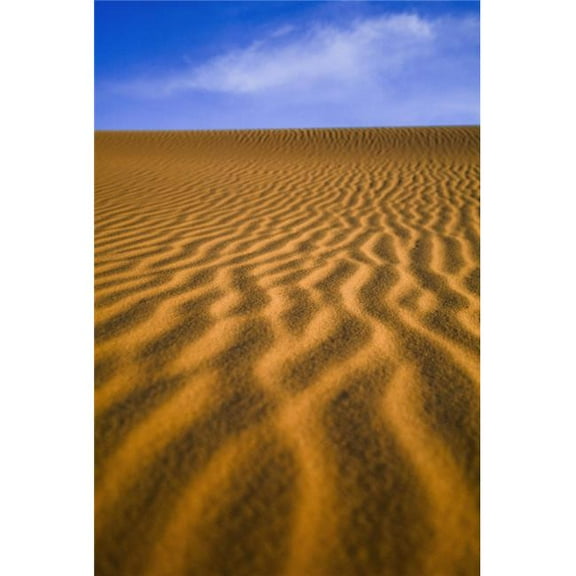 Desert Poster Print - 12 x 18