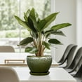 thumbnail image 5 of Ordivic 6 inch Dark Green Small Ceramic Planter with Drainage & Saucer,Modern Indoor Pot for Cactus,Office Desk & Windowsill Decor, 5 of 8