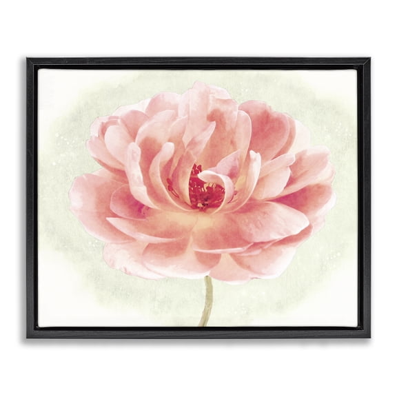Stupell Industries Cottage Soft Pink Peony Black Floating Frame Canvas Art, 21 x 17, by Christine Zalewski