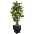 thumbnail image 2 of Nearly Natural 5' Bamboo Artificial Tree in Black Wash Planter, 2 of 2