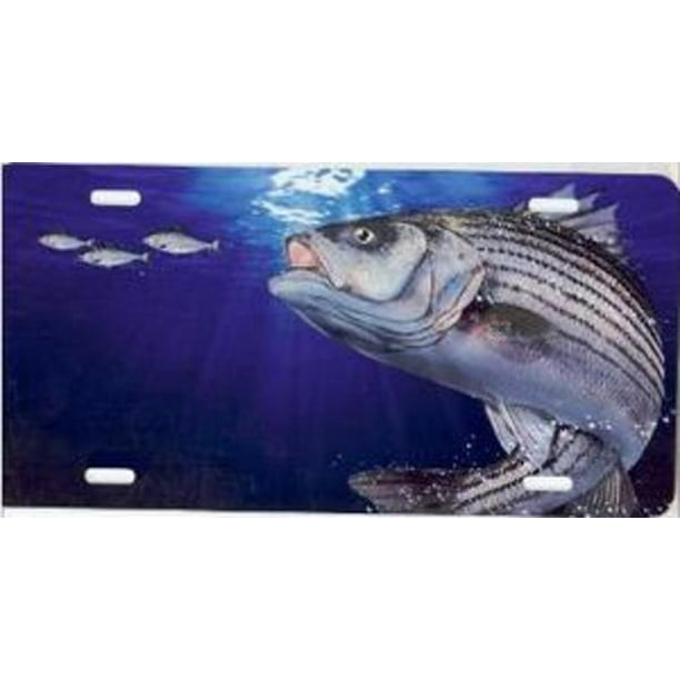 Striped Bass Fish License Plate Free Personalization on this Plate