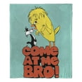 thumbnail image 4 of Looney Tunes Come At Me Bro Kids Silk Touch Throw Blanket, 4 of 5