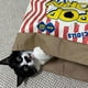 thumbnail image 5 of Greeniant Bolsa de papel Kraft de palomitas de maíz natural marrón para gatos domésticos | Papel de palomitas de maíz duradero y multiusos Juguetes para gatos, 5 of 6