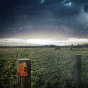 Gallagher Lightning Diverter for Electric Fence Energizers