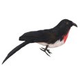 thumbnail image 4 of Juguete Falso para Mascotas Perfecl Pájaros Cuervos 1 Pieza, 4 of 8
