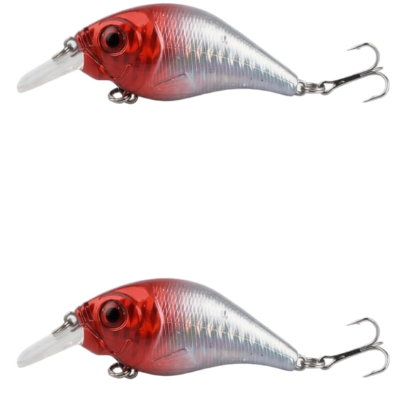 Bisitoy 2Pcs Fishing Lures Crankbait Minnow Deep Diver Hooks for Freshwater Bass