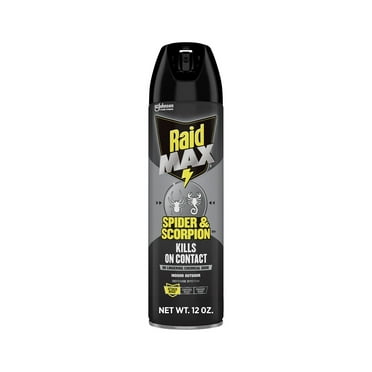 Raid Max Indoor & Outdoor Spider & Scorpion Killer Bug Spray, 12 oz