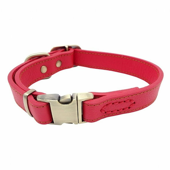 BESTSKY Dog Collar,Easy Wearing Dog Harness,Fashionable Colors Dog Leash,Red,S