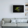 thumbnail image 2 of Canvas Wall Art - Manginiphotography 'Keeping Secrets' Wall Art for Living Room, Bedroom, or Office Décor by Trademark Fine Art - 47 x 30 Inches, 2 of 4