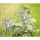 thumbnail image 2 of Ruedas reflectantes Ormromra paquete de 8 Para decoración de jardín WMZL-895, 2 of 5