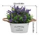 thumbnail image 2 of Flor artificial simple Sala de estar Maceta falsa Flor de simulación decorativa Noticed HA8802-00B, 2 of 6