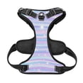 thumbnail image 5 of Lsque Striped Gradient Dog Harness, No-Pull Pet Harness with 2 Leash Clips, Adjustable Soft Padded Dog Vest with Easy Control Handle for Large Dogs-Large, 5 of 9