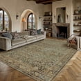 thumbnail image 2 of BERTHMEER 5'x7' Area Rugs for Living Room Kitchen Bedroom Rugs Non Slip Washable Vintage Brown Carpets Oriental Distressed Office Dorm Dining Room Traditional Distressed Throw Rugs, 2 of 8