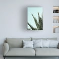 thumbnail image 4 of Trademark Fine Art Pictufy Studio Palm Leaves And Sky 2 Canvas Wall Art, 4 of 4