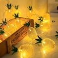 thumbnail image 4 of Lámpara de cadena de piña de malla de hierro tu un 3 m 20 LED con batería, 4 of 5